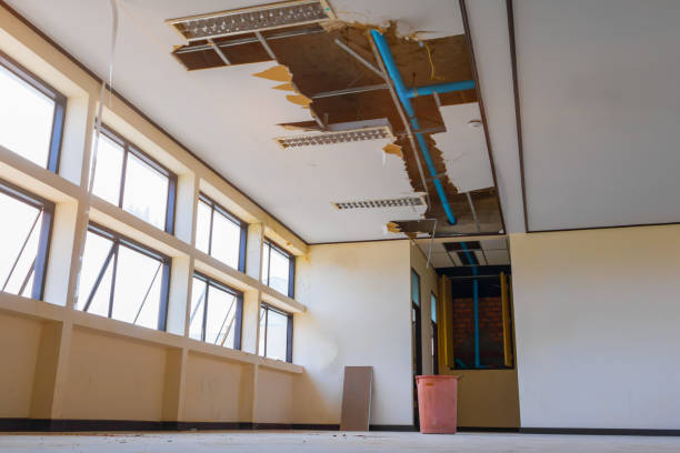 Best Water damage restoration process  in Summerfield, NC