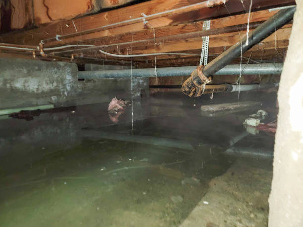 Best Residential water damage restoration  in Summerfield, NC