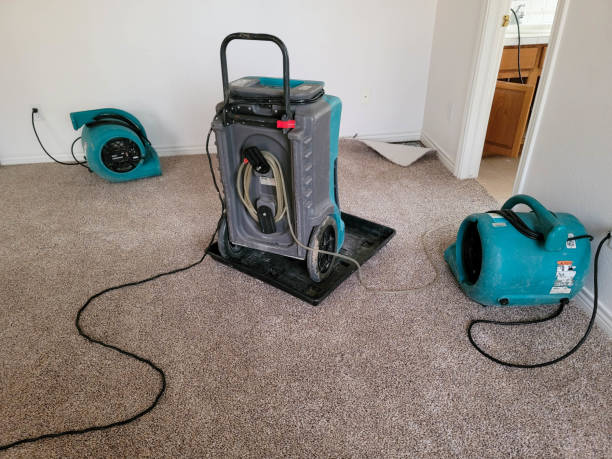 Best Mold removal after water damage  in Summerfield, NC