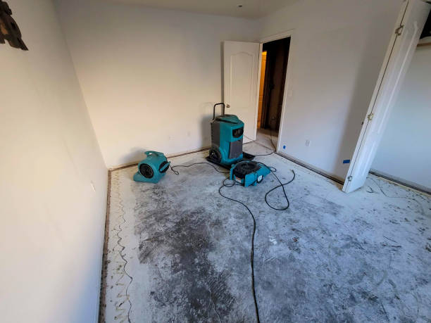 Best Emergency water damage restoration  in Summerfield, NC