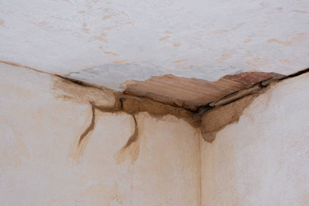 Sewage cleanup and water damage restoration in Summerfield, NC