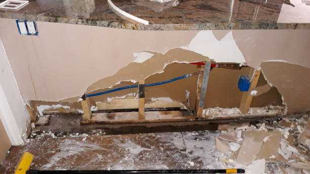 Best Professional water damage repair  in Summerfield, NC
