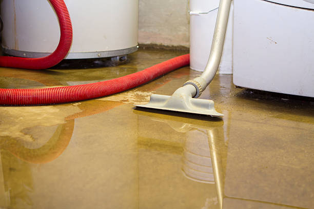Sewage cleanup and water damage restoration in Summerfield, NC
