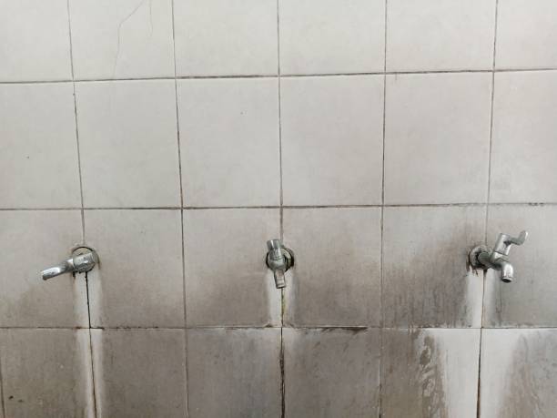 Best Water damage restoration cost  in Summerfield, NC