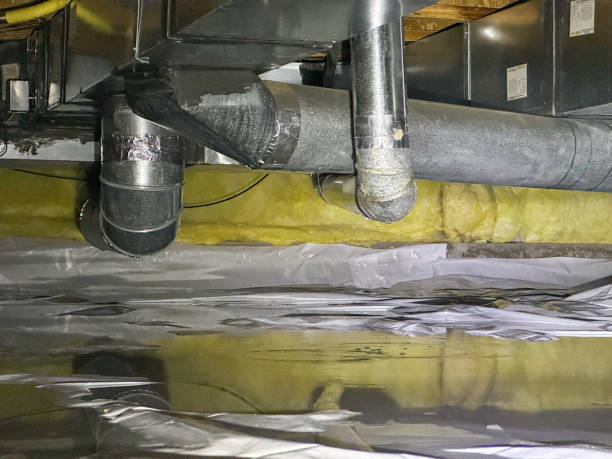 Best Water damage contractors near me  in Summerfield, NC