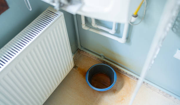 Best Carpet water damage restoration  in Summerfield, NC