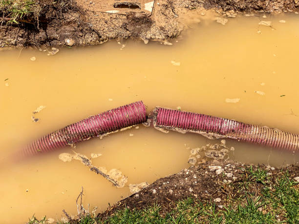  Summerfield, NC Water damage restoration Pros