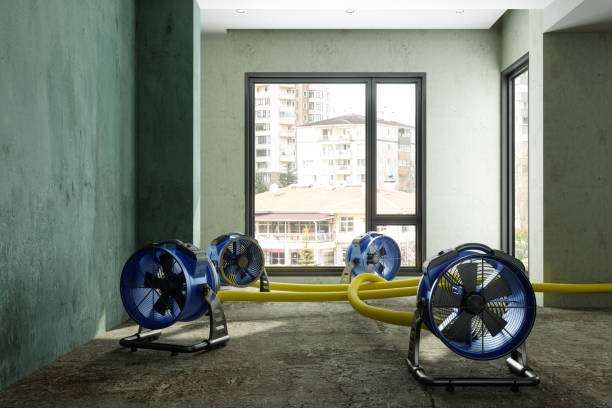 Best Carpet water damage restoration  in Summerfield, NC